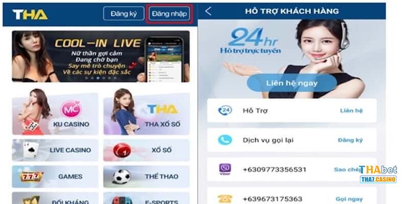 Giải đáp thắc mắc Thabet của người chơi
