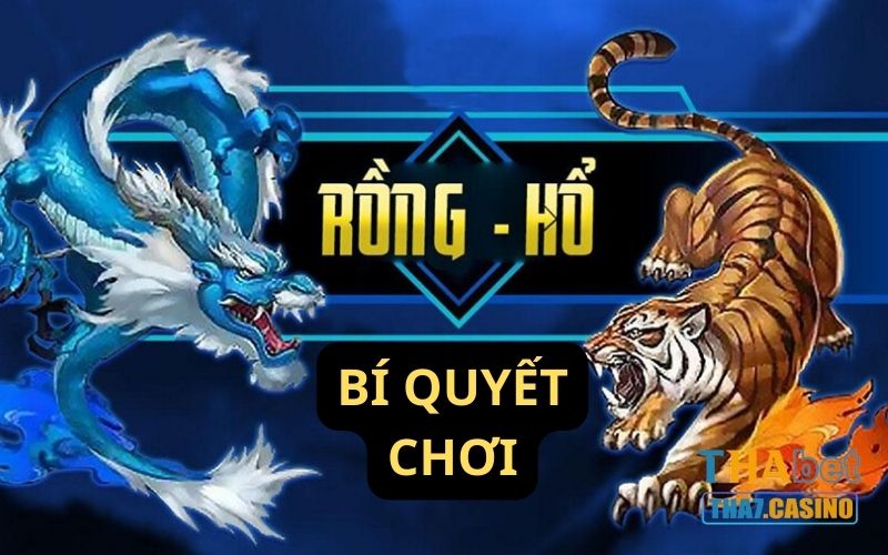 Bí quyết chơi Rồng Hổ  thắng lớn