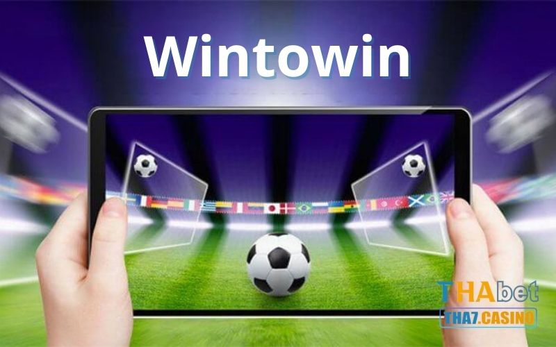 Phần mềm Wintowin hỗ trợ cá độ bóng đá