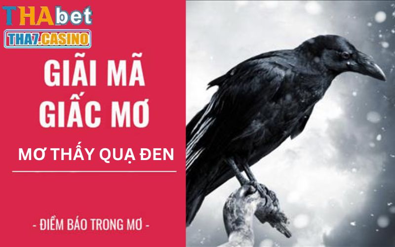 Nằm mơ thấy quạ đen khiến nhiều người lo lắng bất an