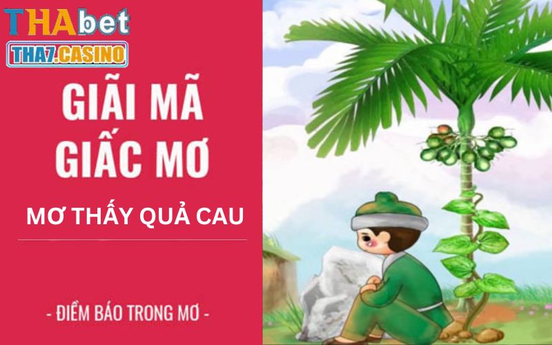 Tìm hiểu việc nằm mơ thấy quả cau là tốt hay xấu